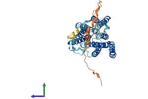 AlphaFold protein structure predicition of Mouse Recombinant Nipal4 Protein, UniprotID Q8BZF2