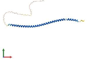 AlphaFold protein structure predicition of Mouse Recombinant Mcemp1 Protein, UniprotID Q9D8U6