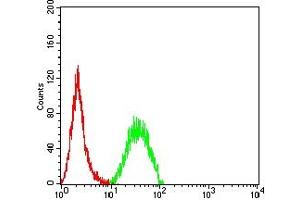 Flow cytometric analysis of Hela cells using SETD2 mouse mAb (green) and negative control (red).
