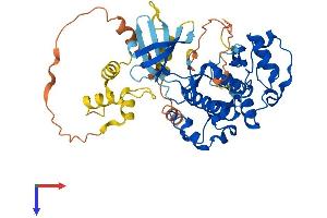 AlphaFold protein structure predicition of Mouse Recombinant Cdk18 Protein, UniprotID Q04899