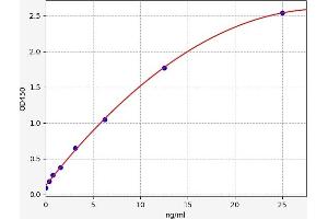 Prohibitin (PHB) ELISA Kit