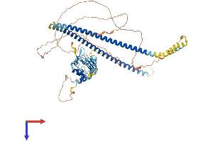 AlphaFold protein structure predicition of Mouse Recombinant Cep72 Protein, UniprotID Q9D3R3