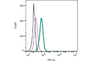 Cell surface detection of TRPM7 by direct flow cytometry in live intact mouse P815 mastocytoma cells: + Rabbit IgG Isotype Control-FITC (ABIN7582044).