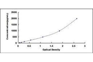 Brain-Specific Angiogenesis Inhibitor 1 (BAI1) ELISA Kit