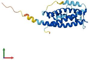 AlphaFold protein structure predicition of Mouse Recombinant Ctf1 Protein, UniprotID Q60753