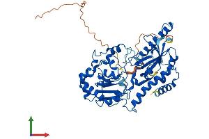 AlphaFold protein structure predicition of Mouse Recombinant Fut11 Protein, UniprotID Q8BHC9