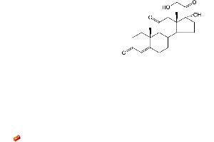 Image no. 2 for Cortisone (COR) CLIA Kit (ABIN577660)