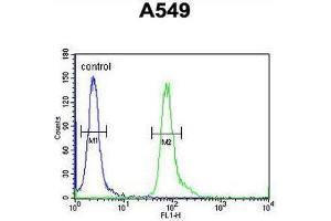 anti-Family with Sequence Similarity 46, Member D (FAM46D) (AA 210-239), (Middle Region) antibody