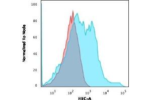 Flow Cytometric Analysis of HEK293 cells using Neurofilament Mouse Recombinant Monoclonal Antibody (rNF421) followed by goat anti-Mouse IgG-CF488 (Blue); Isotype control (Red). (Recombinant NEFH anticorps)