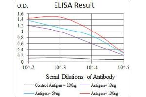 Red: Control Antigen (100ng) ; Purple: Antigen (10ng) ; Green: Antigen (50ng) ; Blue: Antigen (100ng). (Lp(a) anticorps  (AA 4330-4521))