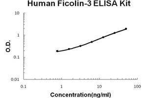 Human Ficolin-3 PicoKine ELISA Kit standard curve