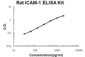 Rat ICAM-1 PicoKine ELISA Kit standard curve (ICAM1 Kit ELISA)