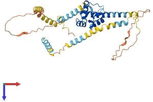 AlphaFold protein structure predicition of Human Recombinant SYAP1 Protein, UniprotID Q96A49