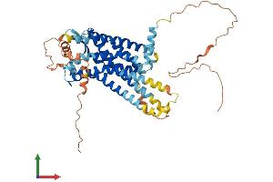 AlphaFold protein structure predicition of Mouse Recombinant Rxfp3 Protein, UniprotID Q8BGE9