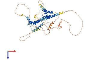 AlphaFold protein structure predicition of Mouse Recombinant Pknox1 Protein, UniprotID O70477