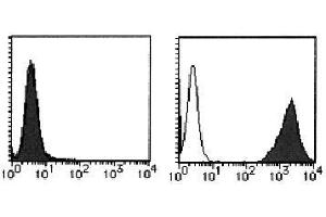 Flow Cytometry (FACS) image for anti-Interleukin 12 Receptor beta 1 (IL12RB1) antibody (PE) (ABIN1449167) (IL12RB1 anticorps  (PE))