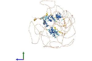 AlphaFold protein structure predicition of Human Recombinant SASH1 Protein, UniprotID O94885