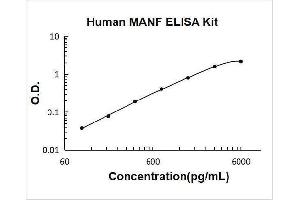 Mesencephalic Astrocyte-Derived Neurotrophic Factor (MANF) ELISA Kit