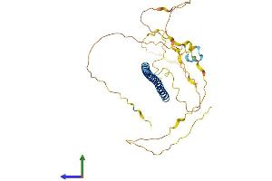 AlphaFold protein structure predicition of Mouse Recombinant Fosl2 Protein, UniprotID P47930