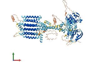 AlphaFold protein structure predicition of Mouse Recombinant Adcy3 Protein, UniprotID Q8VHH7