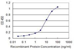 Detection limit for recombinant GST tagged DGCR8 is 0. (DGCR8 anticorps  (AA 675-771))