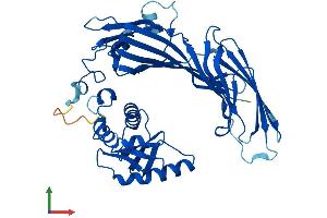 AlphaFold protein structure predicition of Human Recombinant AP1M2 Protein, UniprotID Q9Y6Q5