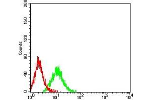 Flow cytometric analysis of Jurkat cells using CHRM3 mouse mAb (green) and negative control (red).