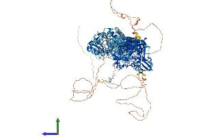 AlphaFold protein structure predicition of Human Recombinant TOP2A Protein, UniprotID P11388