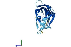 AlphaFold protein structure predicition of Human Recombinant B9D2 Protein, UniprotID Q9BPU9