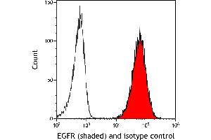 Flow Cytometry (FACS) image for anti-Epidermal Growth Factor Receptor (EGFR) (C-Term) antibody (ABIN7795642) (Recombinant EGFR anticorps  (C-Term))