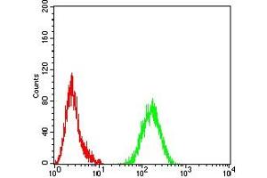 Flow cytometric analysis of Hela cells using BAX mouse mAb (green) and negative control (red). (BAX anticorps)