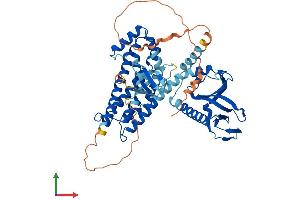 AlphaFold protein structure predicition of Mouse Recombinant Arhgef9 Protein, UniprotID Q3UTH8