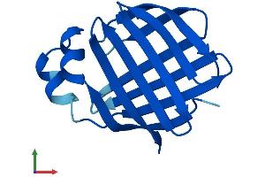 AlphaFold protein structure predicition of Human Recombinant FABP1 Protein, UniprotID P07148