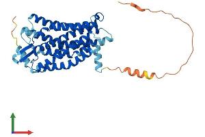 AlphaFold protein structure predicition of Human Recombinant P2RY8 Protein, UniprotID Q86VZ1