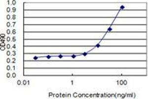 Detection limit for recombinant GST tagged C10orf63 is 1 ng/ml as a capture antibody. (ENKUR anticorps  (AA 1-256))