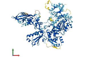 AlphaFold protein structure predicition of Human Recombinant SLFN5 Protein, UniprotID Q08AF3