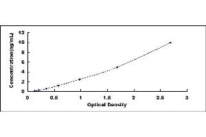 Dexamethasone-Induced Transcript (DEXI) ELISA Kit