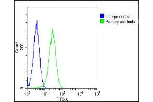 Overlay histogram showing Hela cells stained with (green line).