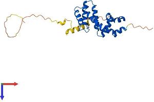 AlphaFold protein structure predicition of Human Recombinant RGS19 Protein, UniprotID P49795