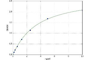 Cytochrome C Oxidase Subunit 3 (COX-3) ELISA Kit