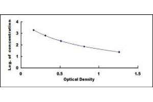 ELISA image for Natriuretic Peptide A (NPPA) ELISA Kit (ABIN4947381)