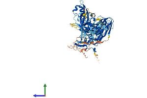 AlphaFold protein structure predicition of Mouse Recombinant Capn10 Protein, UniprotID Q9ESK3