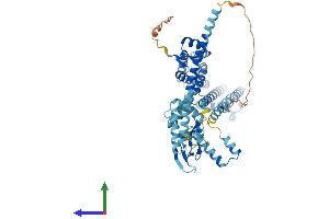 AlphaFold protein structure predicition of Mouse Recombinant Cnga4 Protein, UniprotID Q3UW12