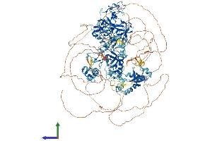 AlphaFold protein structure predicition of Human Recombinant NSD2 Protein, UniprotID O96028