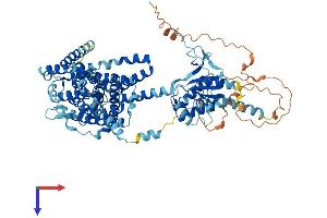 AlphaFold protein structure predicition of Human Recombinant SLC26A9 Protein, UniprotID Q7LBE3