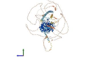 AlphaFold protein structure predicition of Human Recombinant HDAC5 Protein, UniprotID Q9UQL6