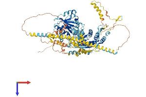 AlphaFold protein structure predicition of Human Recombinant HELLS Protein, UniprotID Q9NRZ9