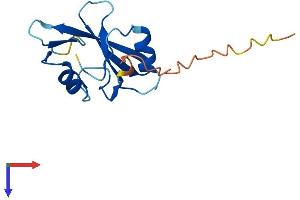 AlphaFold protein structure predicition of Mouse Recombinant Sh2d1b Protein, UniprotID O35324