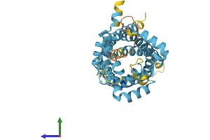 AlphaFold protein structure predicition of Human Recombinant SLC25A18 Protein, UniprotID Q9H1K4