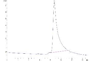 The purity of Human M-CSF is greater than 95 % as determined by SEC-HPLC.